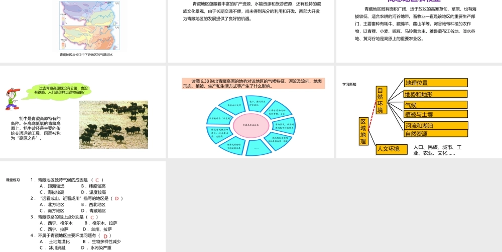八年级地理下册 6.4《青藏地区》课件 （新版）粤教版-（新版）粤教版初中八年级下册地理课件