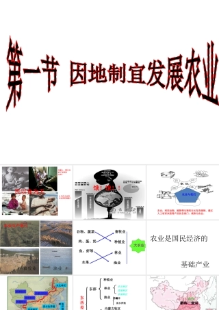 八年级地理上册 第四章 第一节 因地制宜发展农业课件 粤教版