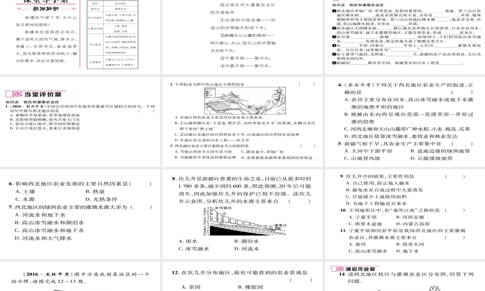 八年级地理下册 第八章 第1节 自然特征与农业（第2课时 牧区和灌溉农业区）习题课件 （新版）新人教版-（新版）新人教版初中八年级下册地理课件