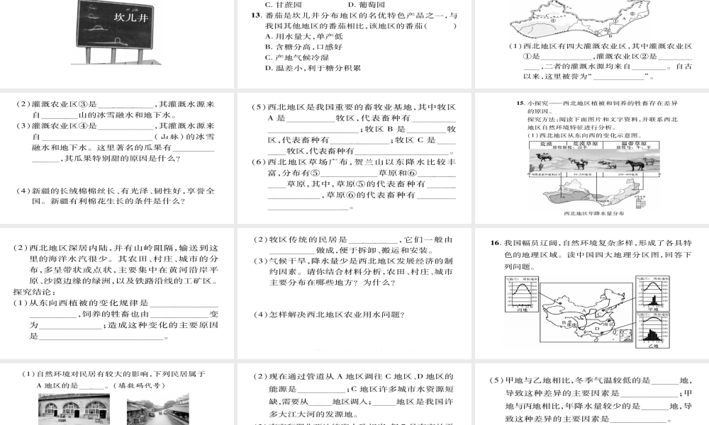 八年级地理下册 第八章 第1节 自然特征与农业（第2课时 牧区和灌溉农业区）习题课件 （新版）新人教版-（新版）新人教版初中八年级下册地理课件