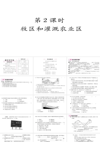 八年级地理下册 第八章 第1节 自然特征与农业（第2课时 牧区和灌溉农业区）习题课件 （新版）新人教版-（新版）新人教版初中八年级下册地理课件