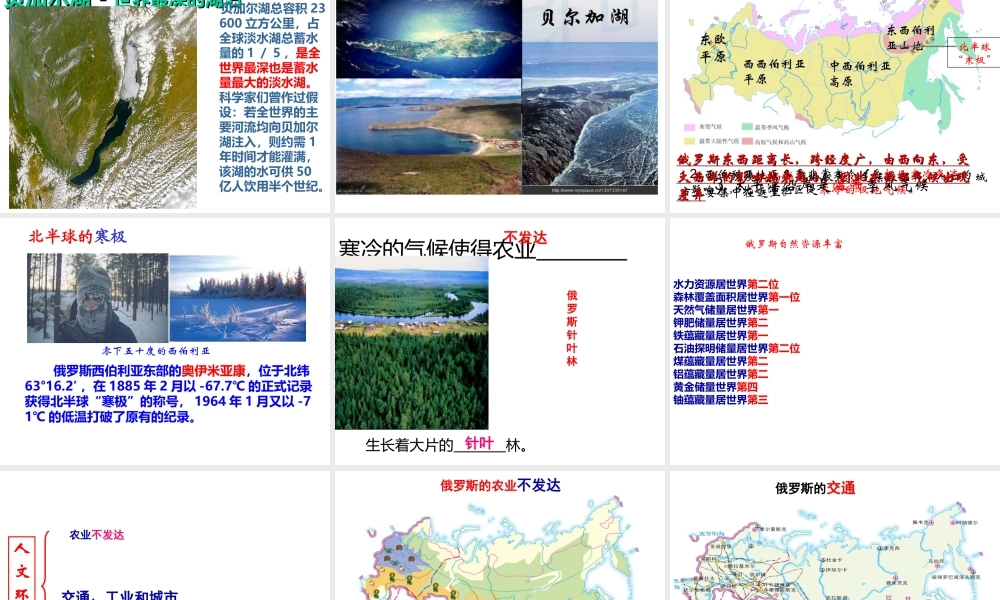 八年级地理下册 7.5《俄罗斯》课件2 中图版-中图版初中八年级下册地理课件