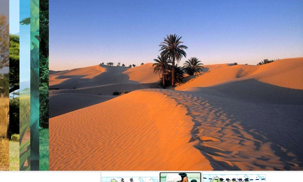 八年级地理下册 6.4《撒哈拉以南的非洲》课件 中图版-中图版初中八年级下册地理课件