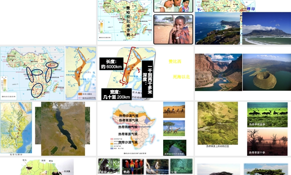 八年级地理下册 6.4《撒哈拉以南的非洲》课件 中图版-中图版初中八年级下册地理课件