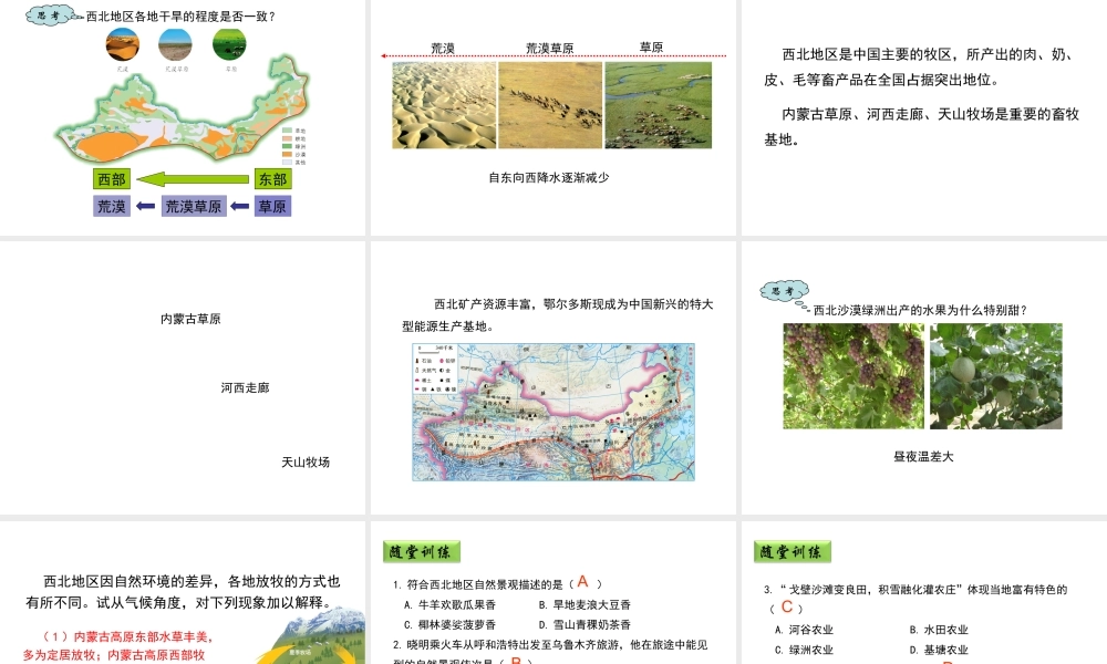八年级地理下册 5.3 西北地区和青藏地区（第1课时）教学课件 （新版）湘教版-（新版）湘教版初中八年级下册地理课件