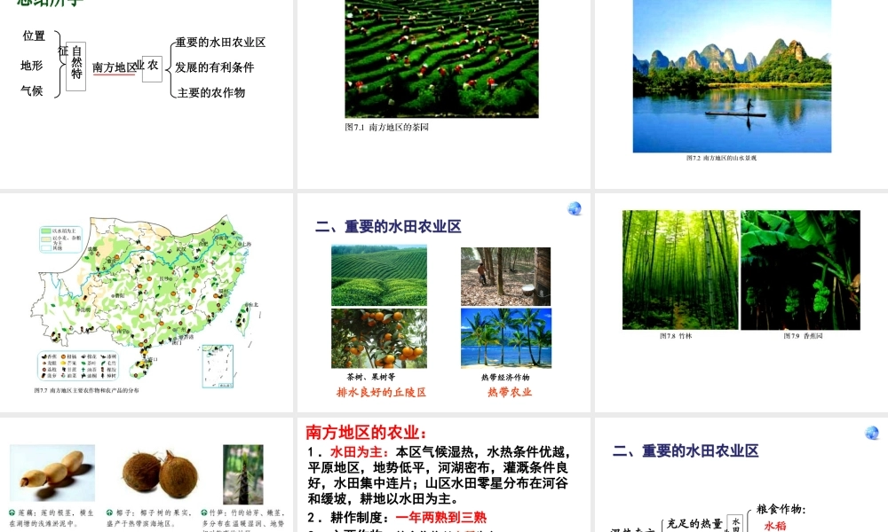 八年级地理下册 第七章 第1节 自然特征与农业课件（2）（新版）新人教版-（新版）新人教版初中八年级下册地理课件