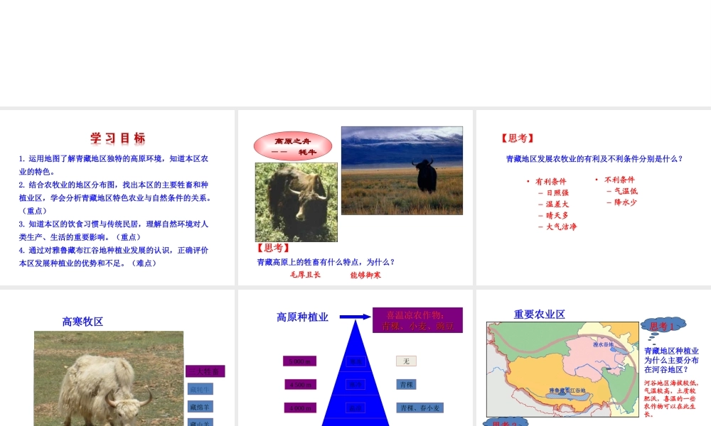 八年级地理下册 9.1自然特征与农业（高寒牧区和河谷农业区）课件 （新版）新人教版-（新版）新人教版初中八年级下册地理课件