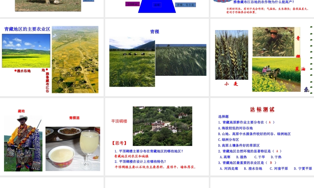 八年级地理下册 9.1自然特征与农业（高寒牧区和河谷农业区）课件 （新版）新人教版-（新版）新人教版初中八年级下册地理课件