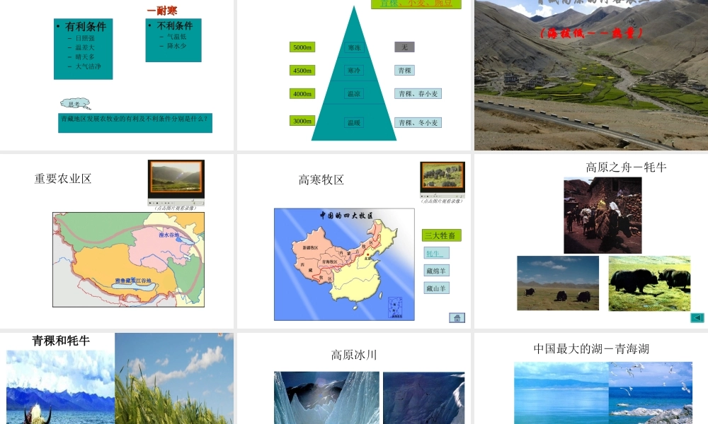 八年级地理下册 5.3 西北地区和青藏地区（第2课时 青藏地区）课件 （新版）湘教版-（新版）湘教版初中八年级下册地理课件