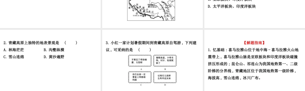 八年级地理下册 9.1自然特征与农业（世界屋脊）习题课件 （新版）新人教版-（新版）新人教版初中八年级下册地理课件
