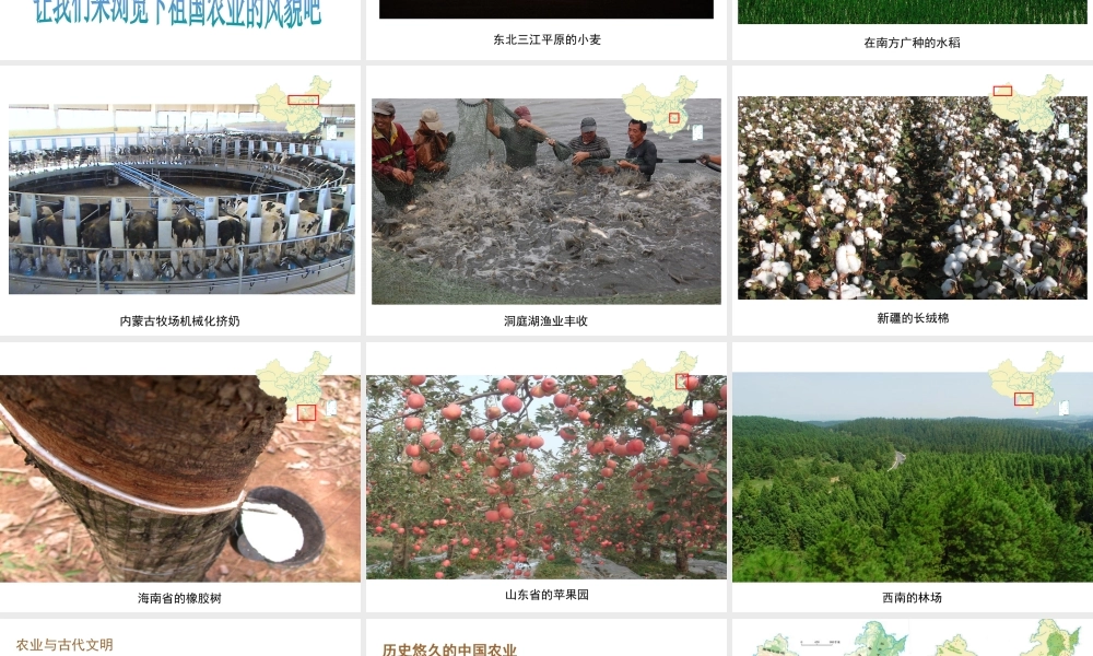 八年级地理上册 第四章 第一节农业课件 湘教版