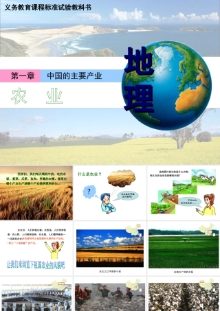 八年级地理上册 第四章 第一节农业课件 湘教版