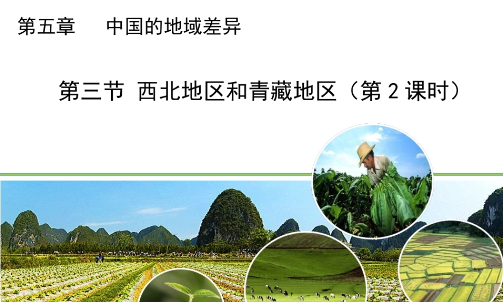 八年级地理下册 5.3 西北地区和青藏地区（第2课时）教学课件 （新版）湘教版-（新版）湘教版初中八年级全册地理课件