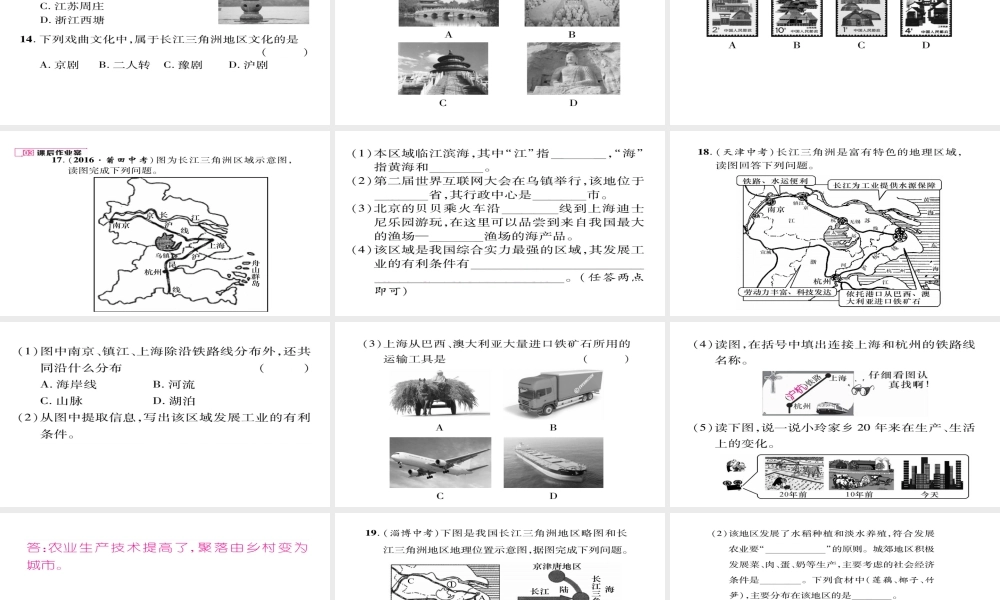 八年级地理下册 第七章 第2节“鱼米之乡”——长江三角洲地区（第2课时 我国最大的城市群）习题课件 （新版）新人教版-（新版）新人教版初中八年级下册地理课件