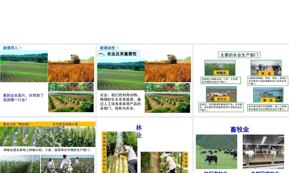 八年级地理上册 第四章 中国的经济发展 第二节 农业（第1课时 农业及其重要性 我国农业的地区分布）课件 （新版）新人教版-（新版）新人教版初中八年级上册地理课件
