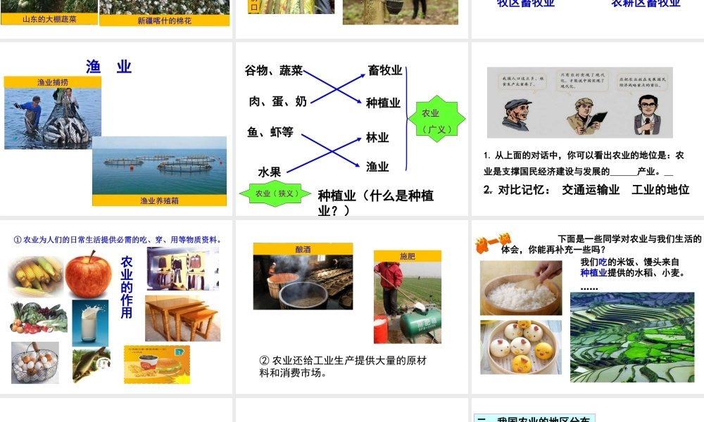 八年级地理上册 第四章 中国的经济发展 第二节 农业（第1课时 农业及其重要性 我国农业的地区分布）课件 （新版）新人教版-（新版）新人教版初中八年级上册地理课件
