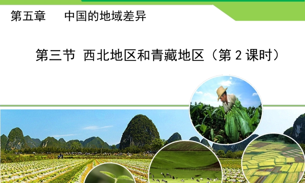 八年级地理下册 5.3 西北地区和青藏地区（第2课时）课件 （新版）湘教版-（新版）湘教版初中八年级下册地理课件