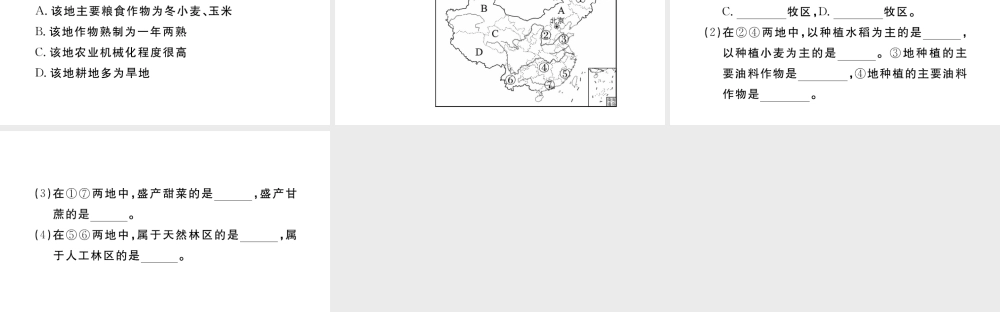 八年级地理上册 第四章 中国的经济发展 第二节 农业（第1课时 农业及其重要性 我国农业的地区分布）作业课件 （新版）新人教版-（新版）新人教版初中八年级上册地理课件