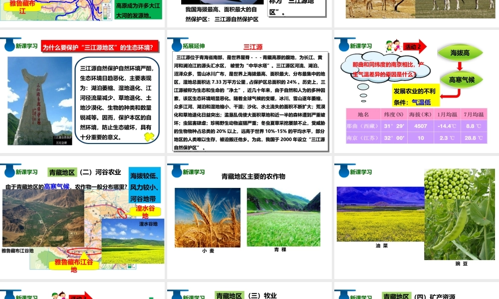 八年级地理下册 5.3 西北地区和青藏地区（第2课时）课件 （新版）湘教版