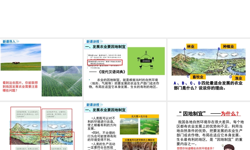 八年级地理上册 第四章 中国的经济发展 第二节 农业（第2课时 发展农业要因地制宜 走科技强农之路）