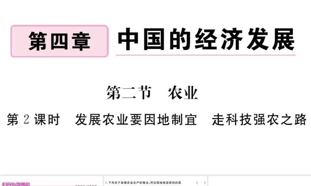 八年级地理上册 第四章 中国的经济发展 第二节 农业（第2课时 发展农业要因地制宜 走科技强农之路）作业课件 （新版）新人教版-（新版）新人教版初中八年级上册地理课件