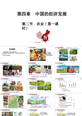 八年级地理上册 第四章 中国的经济发展 第二节农业第1课时教学课件 （新版）新人教版-（新版）新人教版初中八年级上册地理课件