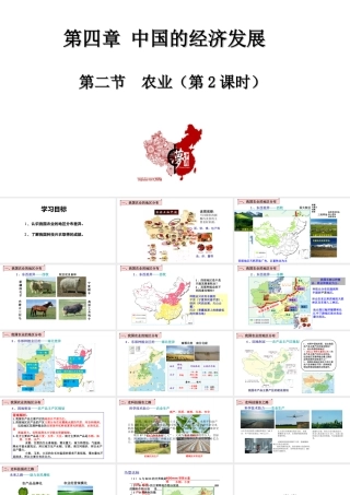 八年级地理上册 第四章 中国的经济发展 第二节农业第2课时教学课件 （新版）新人教版-（新版）新人教版初中八年级上册地理课件