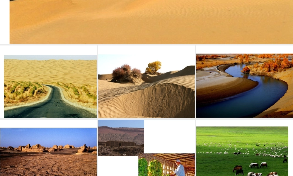 八年级地理下册 5.3 西北地区和青藏地区课件2 （新版）湘教版-（新版）湘教版初中八年级下册地理课件