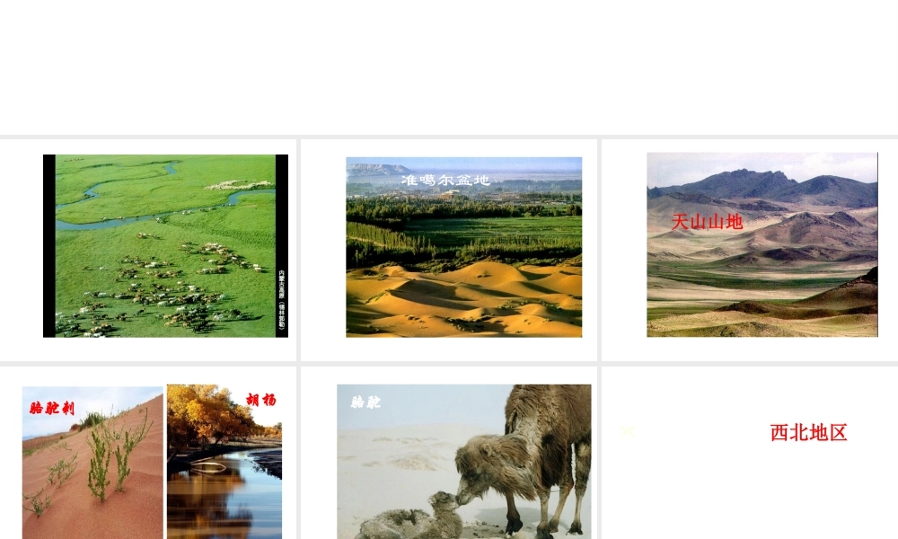 八年级地理下册 5.3 西北地区课件 （新版）湘教版-（新版）湘教版初中八年级下册地理课件