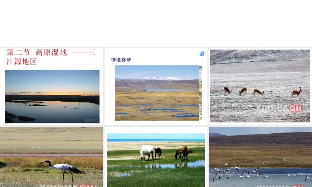 八年级地理下册 9.2 高原湿地—三江源地区课件 （新版）新人教版-（新版）新人教版初中八年级下册地理课件