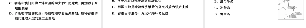 八年级地理下册 第七章 第二节 澳门特别行政区的旅游文化特色复习课件 （新版）湘教版-（新版）湘教版初中八年级下册地理课件
