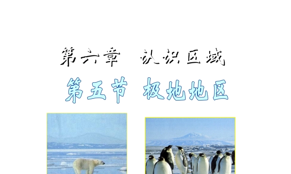 八年级地理下册 6.5《极地地区》课件3 中图版-中图版初中八年级下册地理课件