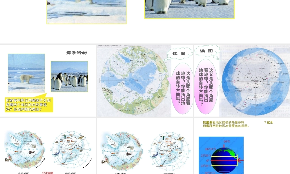 八年级地理下册 6.5《极地地区》课件3 中图版-中图版初中八年级下册地理课件
