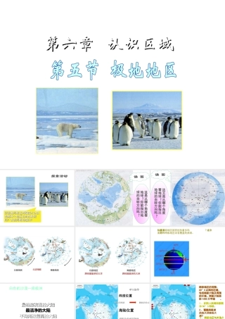 八年级地理下册 6.5《极地地区》课件3 中图版-中图版初中八年级下册地理课件
