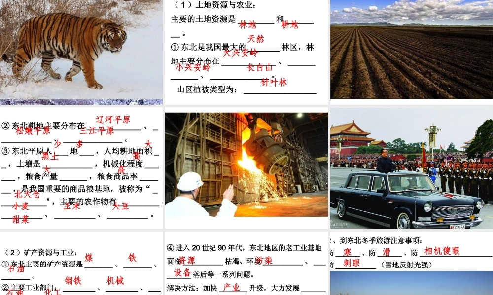 八年级地理下册 7.1 东北地区课件 （新版）粤教版-（新版）粤教版初中八年级下册地理课件