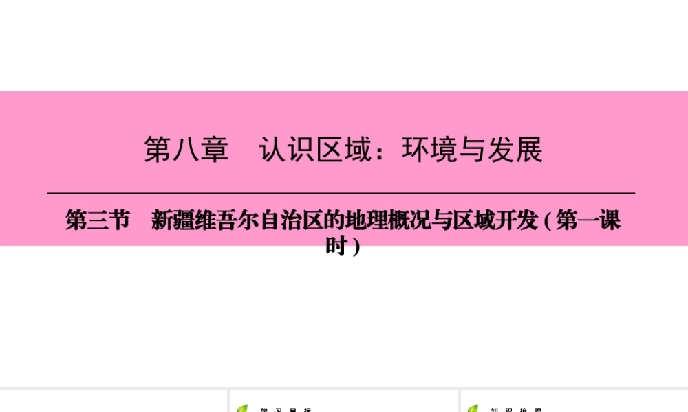 八年级地理下册 第八章 第三节 新疆维吾尔自治区的地理概况与区域开发（第1课时）复习课件 （新版）湘教版-（新版）湘教版初中八年级下册地理课件