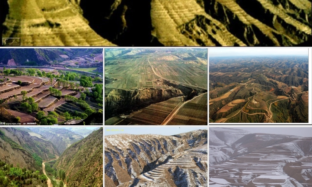 八年级地理下册 8.1 黄土高原课件 （新版）新人教版-（新版）新人教版初中八年级下册地理课件