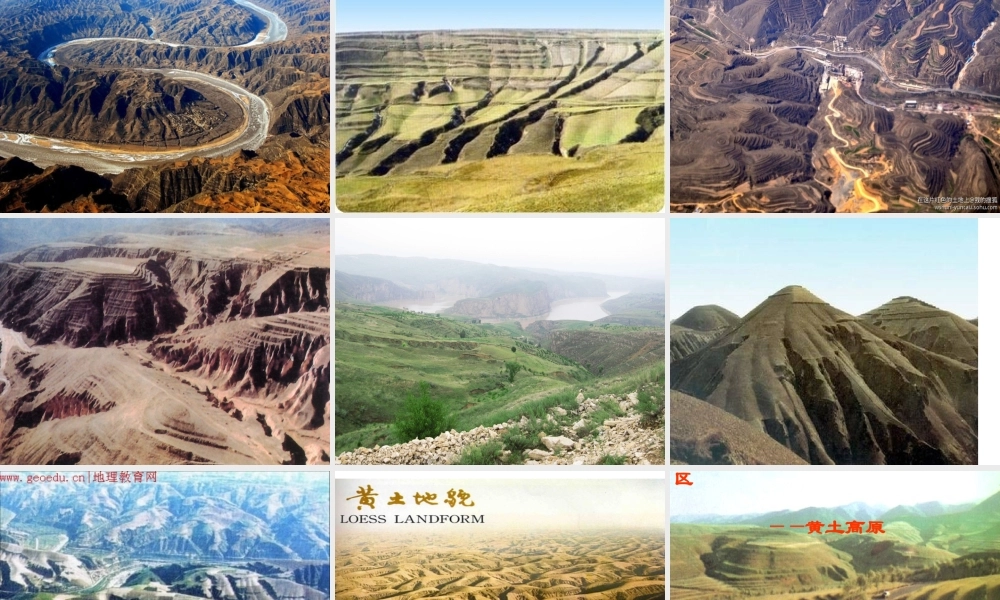 八年级地理下册 8.1 黄土高原课件 （新版）新人教版-（新版）新人教版初中八年级下册地理课件