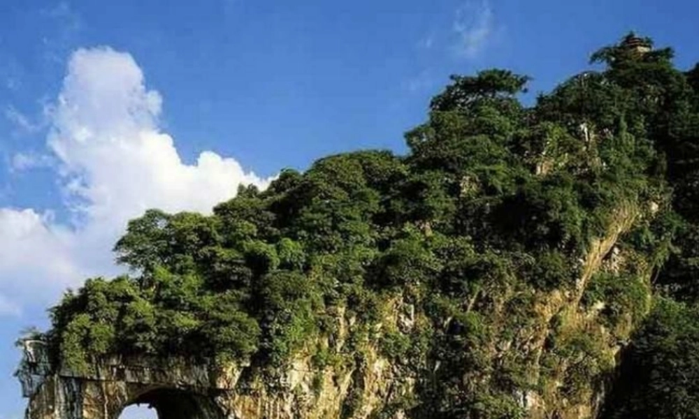 八年级地理下册 6.1 东北地区的地理位置与自然环境课件 湘教版-湘教版初中八年级下册地理课件