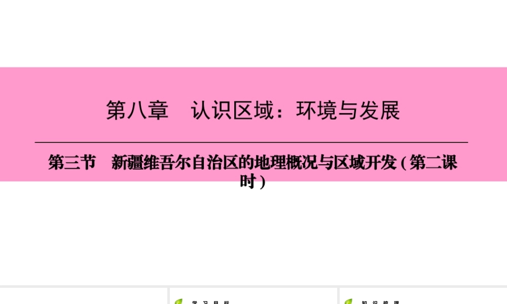 八年级地理下册 第八章 第三节 新疆维吾尔自治区的地理概况与区域开发（第2课时）复习课件 （新版）湘教版-（新版）湘教版初中八年级下册地理课件