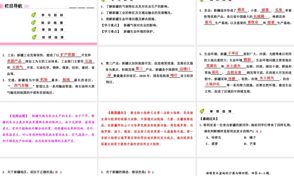 八年级地理下册 第八章 第三节 新疆维吾尔自治区的地理概况与区域开发（第2课时）复习课件 （新版）湘教版-（新版）湘教版初中八年级下册地理课件