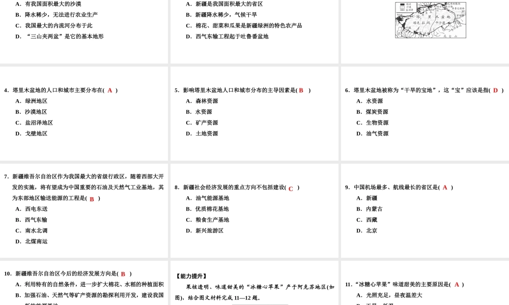 八年级地理下册 第八章 第三节 新疆维吾尔自治区的地理概况与区域开发（第2课时）复习课件 （新版）湘教版-（新版）湘教版初中八年级下册地理课件
