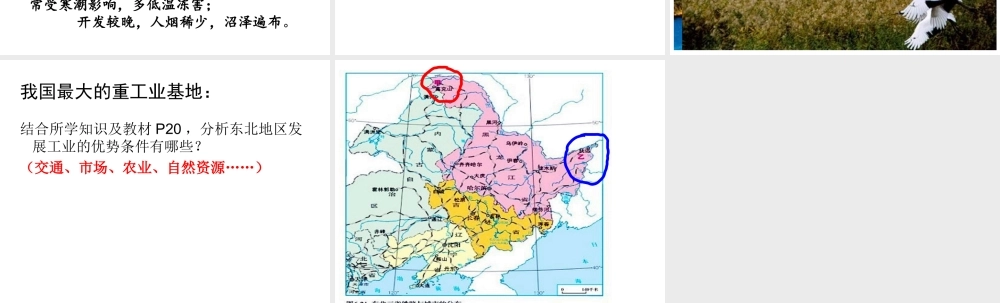 八年级地理下册 白山黑水——东北三省课件 新人教版