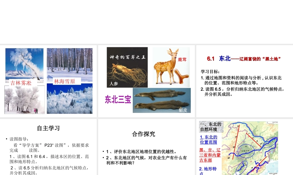 八年级地理下册 6.1 东北地区——辽阔富饶的“黑土地”教学课件 晋教版-人教版初中八年级下册地理课件