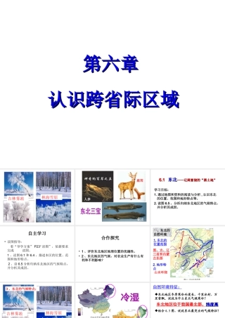 八年级地理下册 6.1 东北地区——辽阔富饶的“黑土地”教学课件 晋教版-人教版初中八年级下册地理课件