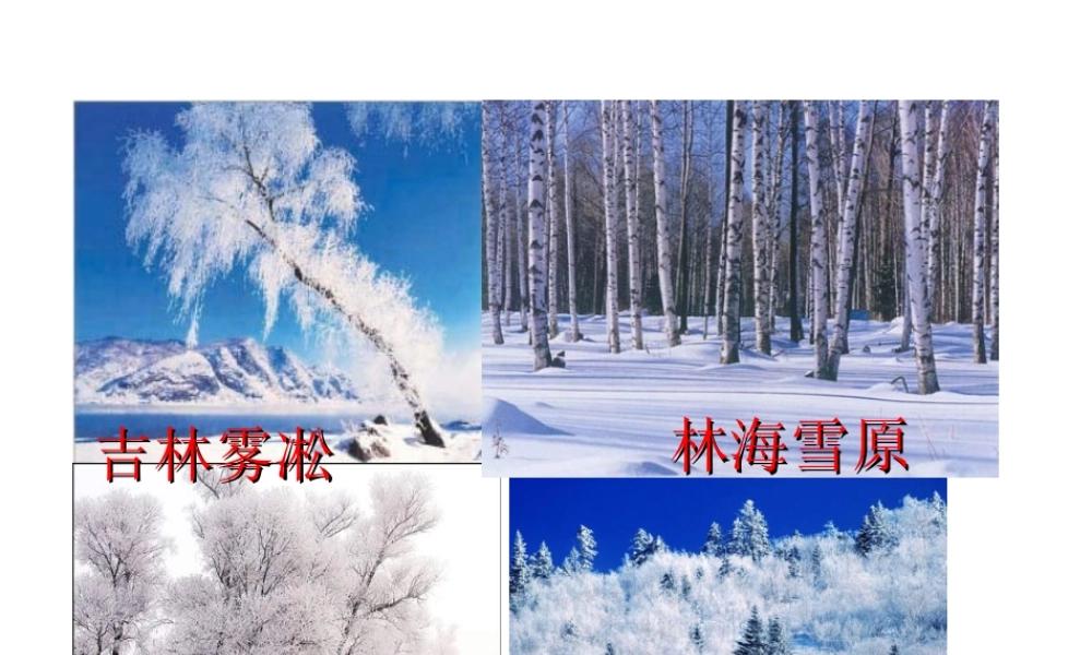八年级地理下册 6.1 东北三省--辽阔富饶的“黑土地”课件 晋教版-人教版初中八年级下册地理课件