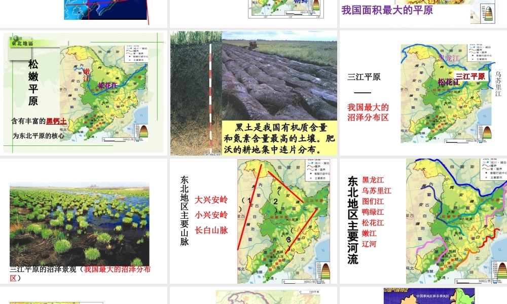 八年级地理下册 6.1 东北三省--辽阔富饶的“黑土地”课件 晋教版-人教版初中八年级下册地理课件