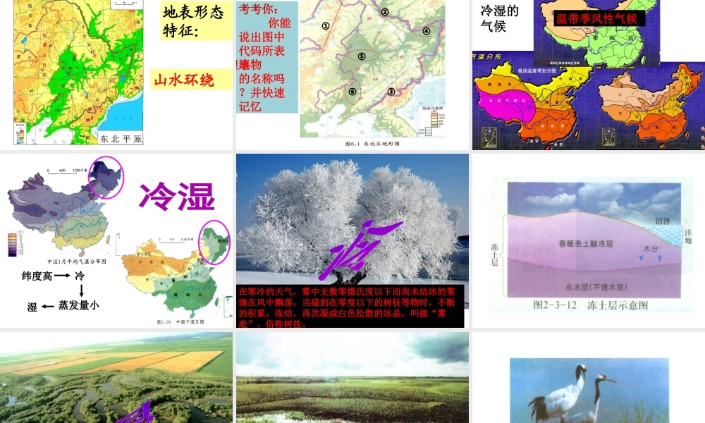 八年级地理下册 6.1 东北三省--辽阔富饶的“黑土地”课件 晋教版-人教版初中八年级下册地理课件