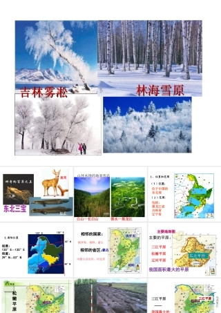 八年级地理下册 6.1 东北三省--辽阔富饶的“黑土地”课件 晋教版-人教版初中八年级下册地理课件