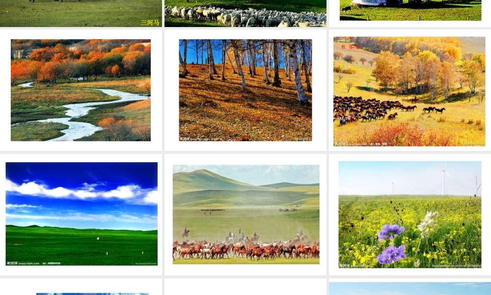 八年级地理下册 8.1 西北地区——自然特征与农业课件 （新版）新人教版-（新版）新人教版初中八年级下册地理课件